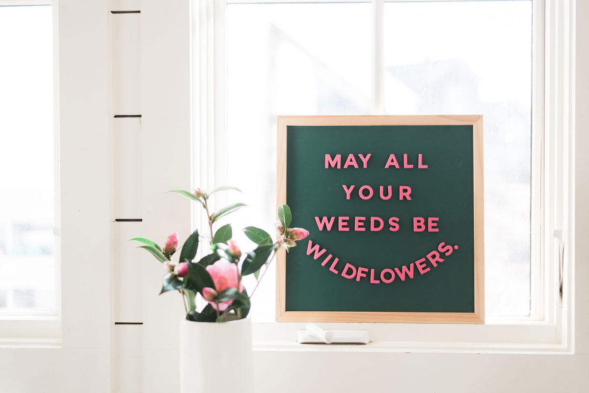 18 Quotes About Gardening to Plant on Your Letter Board