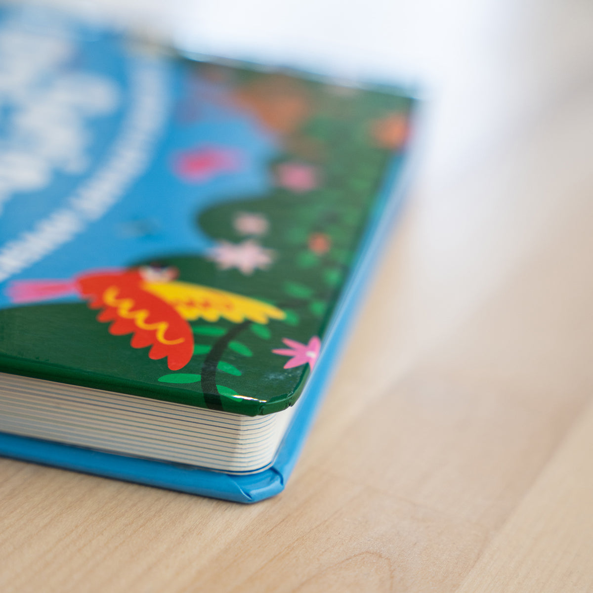 Close-up of children's book showing thick, high-quality pages and cover