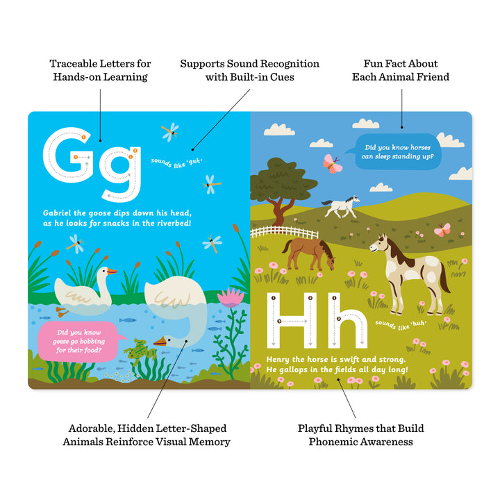 Curious Creatures from A to Z: An Animal Alphabet Adventure SIGNED COPY (Pre-order)